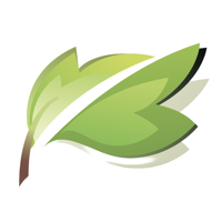 Imagologo